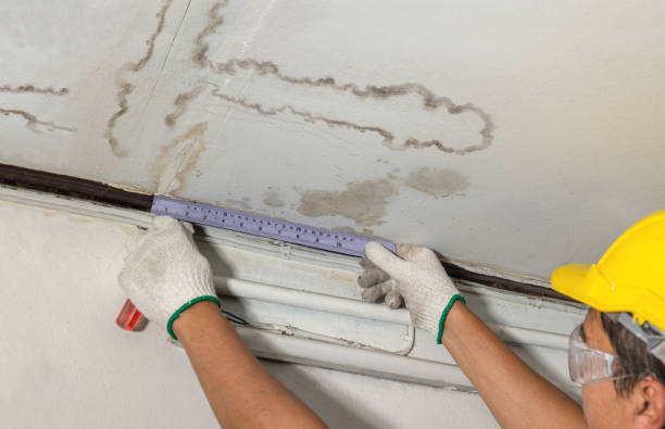 Reliable Sewage Cleanup contractor in Stoneham, MA by Water Damage Irwin